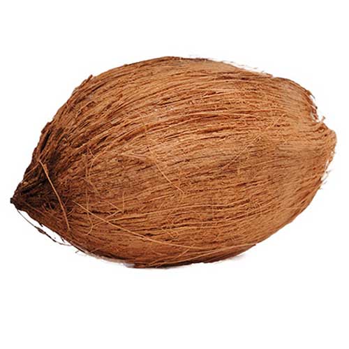 NARIYAL PANI (1pcs)