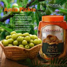 PATANJALI AMLA PICKLE ACHAR 500GM
