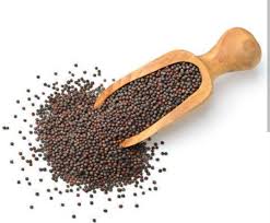 SARV PREMIUM PATLI RAI 100GM